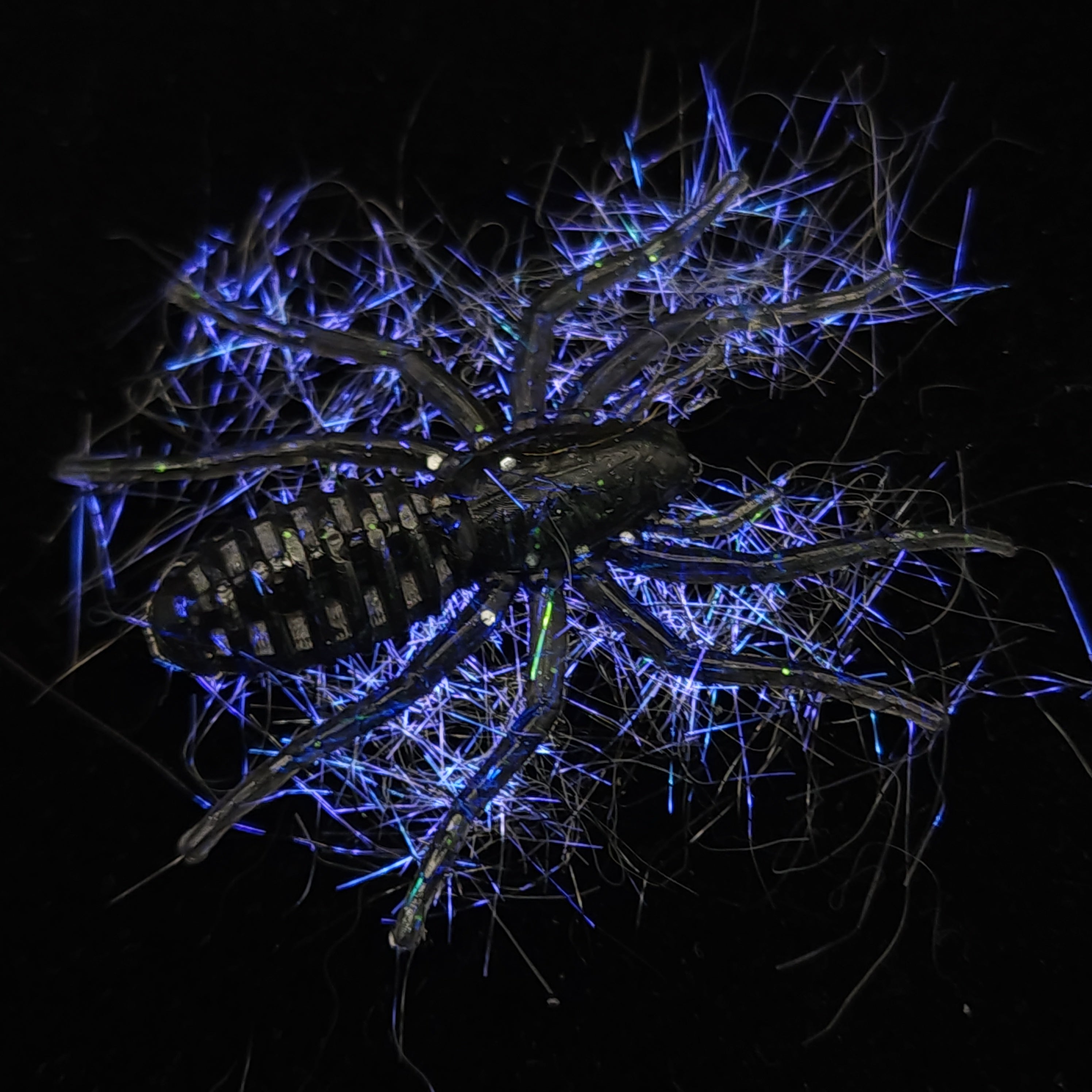 Hairy 1" Micro Spider Bait "The Writing Spider"