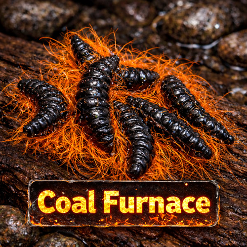 1" Hairy Waxworm "The Fuzz Grub" 8 Per Pack