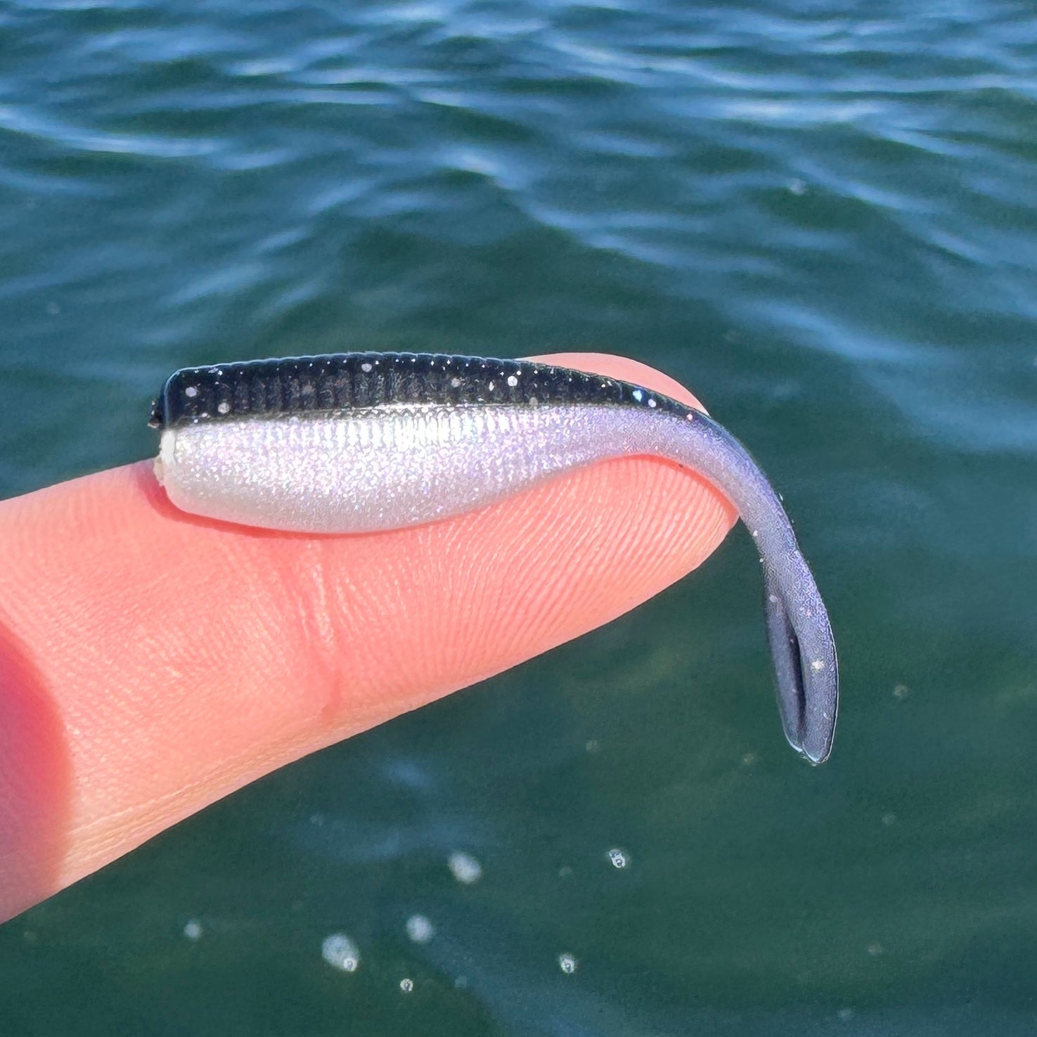 BS Minnow 2"