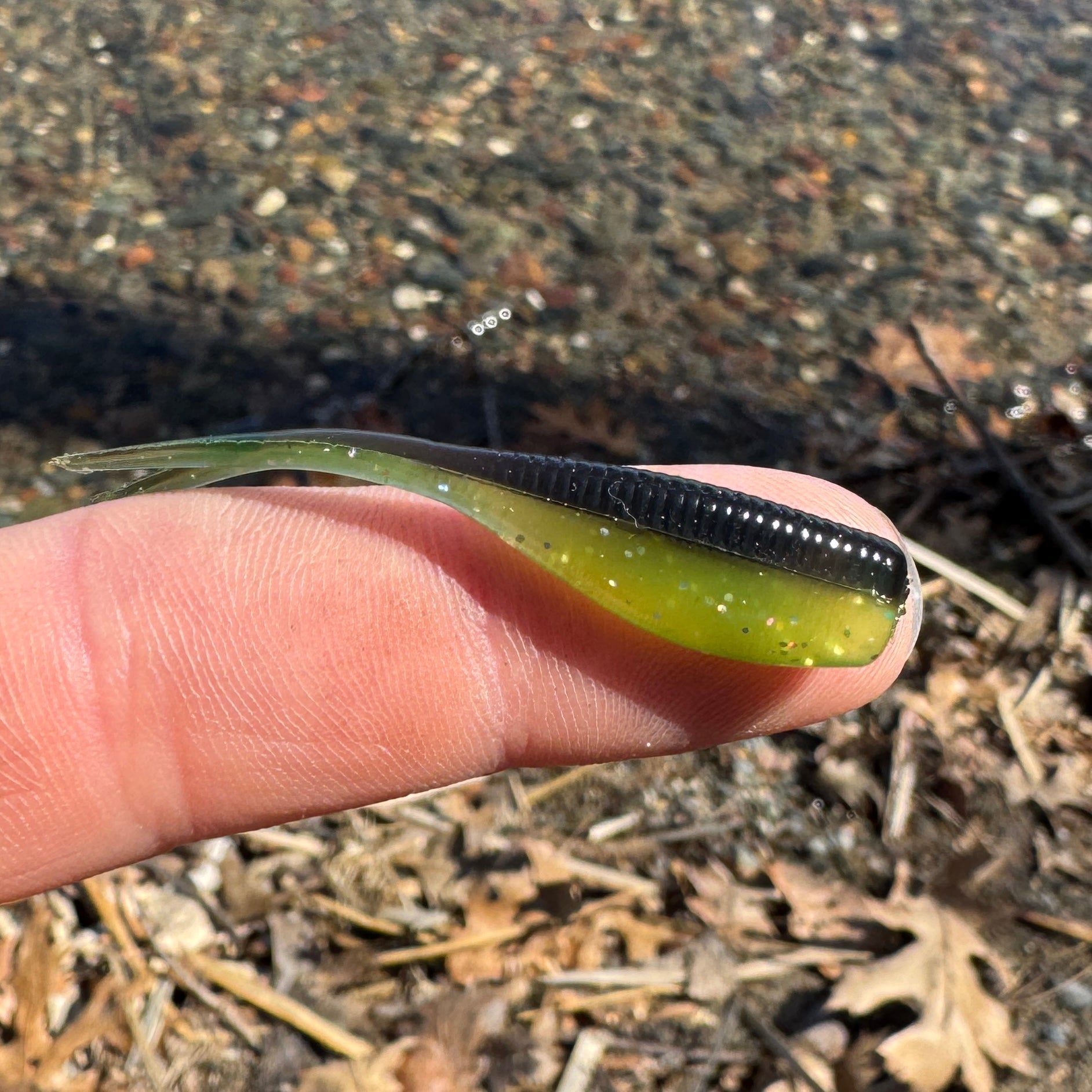 BS Minnow 2"